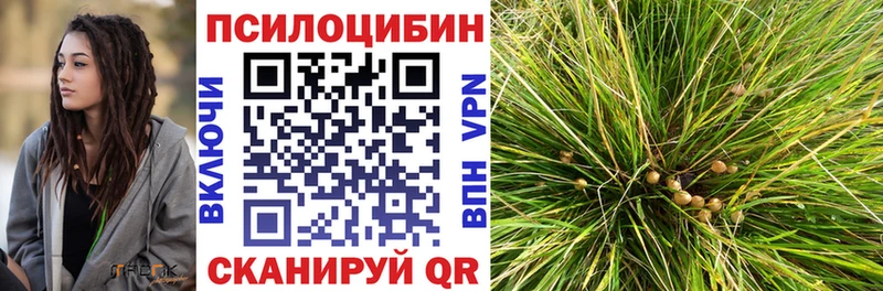 Галлюциногенные грибы прущие грибы  Купить закладки  Клин 